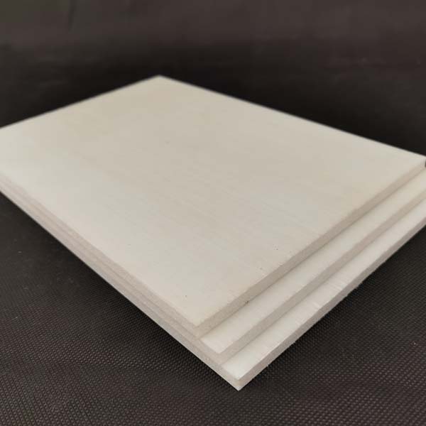 CFRT輕量化(huà)複合闆(pǎn)